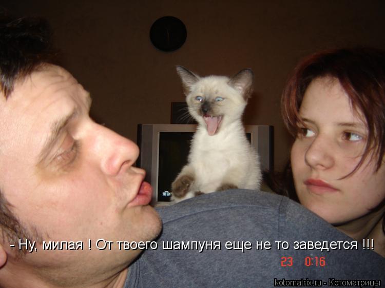 - Ну, милая ! От твоего шампуня еще не то заведется !!!... Котоматрица: - Ну, милая ! От твоего шампуня еще не то заведется !!!