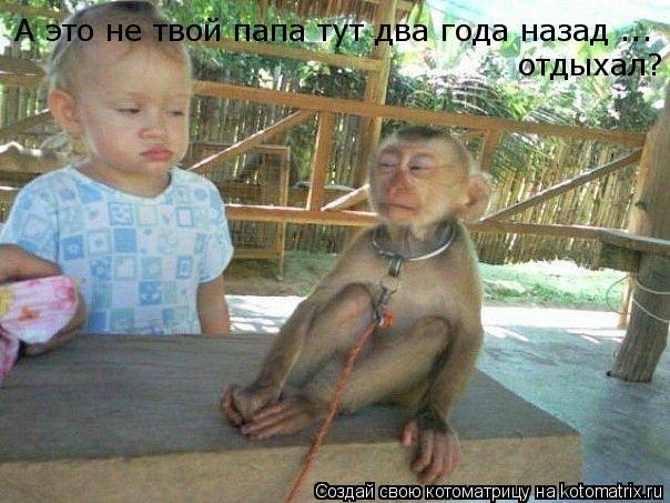 А это не твой папа тут два года назад ... отдыхал?... Котоматрица: А это не твой папа тут два года назад ... отдыхал?