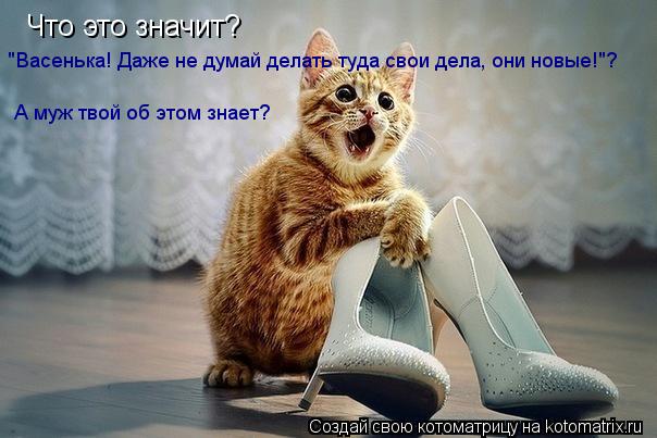 Что это значит? "Васенька! Даже не думай делать туда свои дела, они новые!"? А муж твой об этом знае... Котоматрица: Что это значит? "Васенька! Даже не думай делать туда свои дела, они новые!"? А муж твой об этом знает?