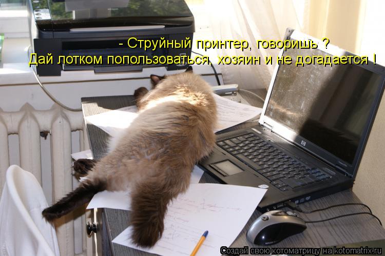 - Струйный принтер, говоришь ? Дай лотком попользоваться, хозяин и не догадается !... Котоматрица: - Струйный принтер, говоришь ? Дай лотком попользоваться, хозяин и не догадается !
