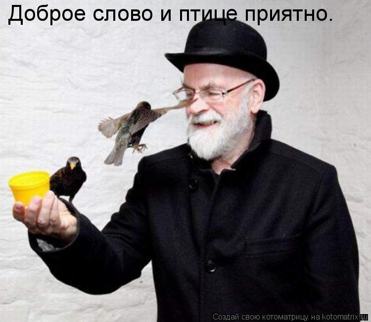 Доброе слово и птице приятно.... Котоматрица: Доброе слово и птице приятно.