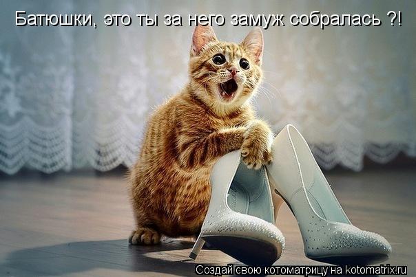 Батюшки, это ты за него замуж собралась ?!... Котоматрица: Батюшки, это ты за него замуж собралась ?!