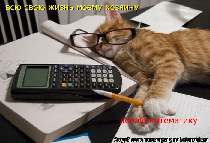 всю свою жизнь моему хозяину делаю математику... Котоматрица: всю свою жизнь моему хозяину делаю математику