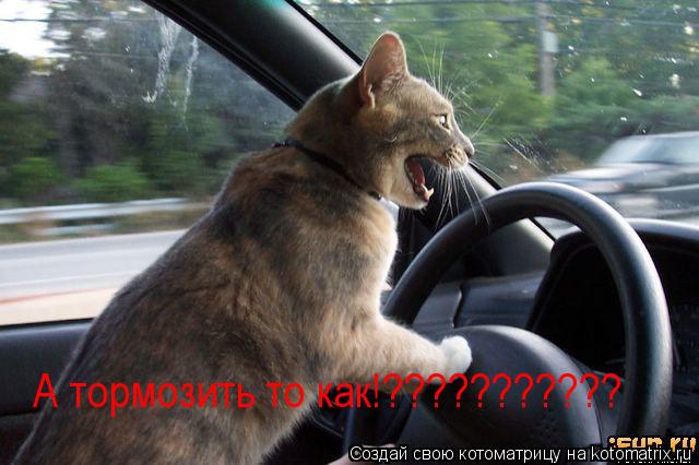 А тормозить то как!???????????... Котоматрица: А тормозить то как!???????????