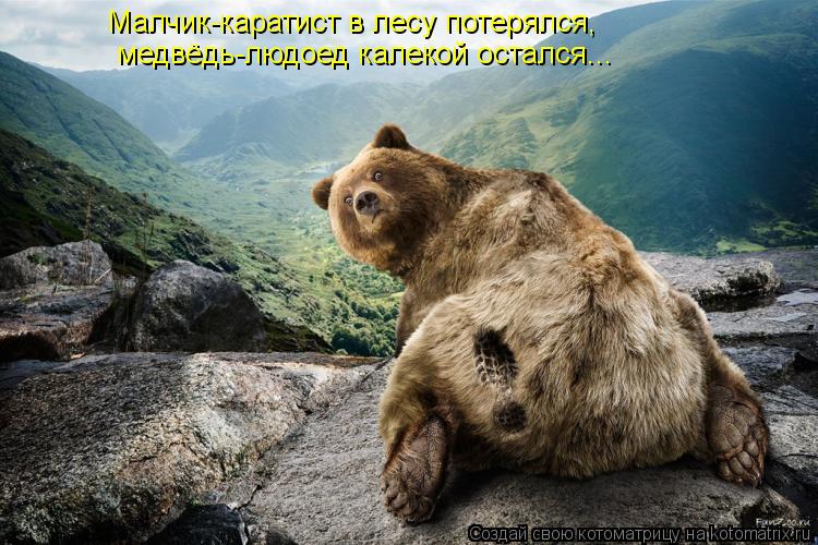 Котоматрица: Малчик-каратист в лесу потерялся,  медвёдь-людоед калекой остался...