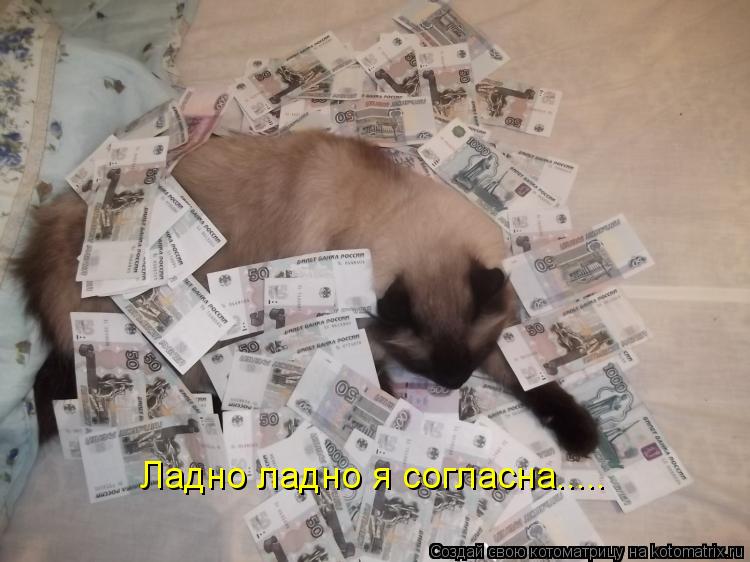 Ладно ладно я согласна........ Котоматрица: Ладно ладно я согласна.....