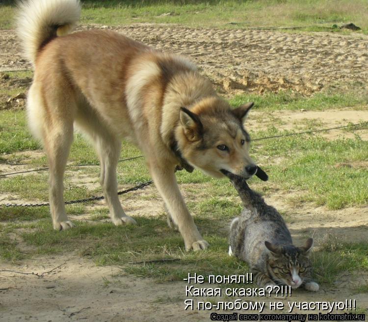 -Не понял!! Какая сказка??!!! Я по-любому не участвую!!!... Котоматрица: -Не понял!! Какая сказка??!!! Я по-любому не участвую!!!