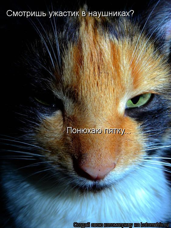 Смотришь ужастик в наушниках? Понюхаю пятку...... Котоматрица: Смотришь ужастик в наушниках? Понюхаю пятку...