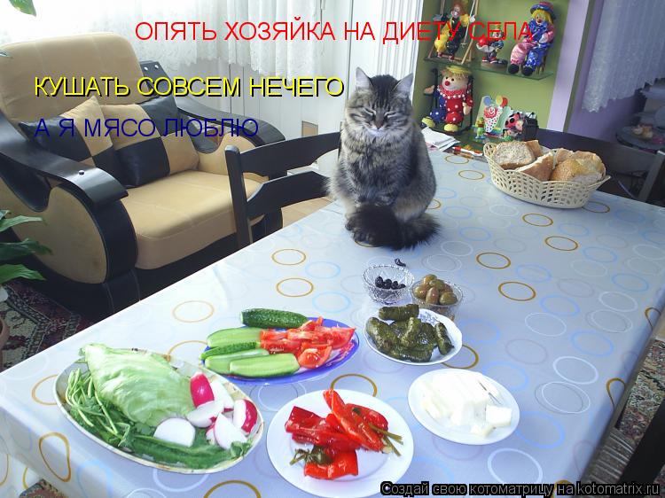 ОПЯТЬ ХОЗЯЙКА НА ДИЕТУ СЕЛА КУШАТЬ СОВСЕМ НЕЧЕГО А Я МЯСО ЛЮБЛЮ... Котоматрица: ОПЯТЬ ХОЗЯЙКА НА ДИЕТУ СЕЛА КУШАТЬ СОВСЕМ НЕЧЕГО А Я МЯСО ЛЮБЛЮ