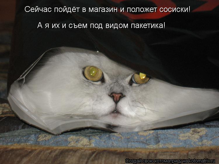 Сейчас пойдёт в магазин и положет сосиски! А я их и съем под видом пакетика!... Котоматрица: Сейчас пойдёт в магазин и положет сосиски! А я их и съем под видом пакетика!