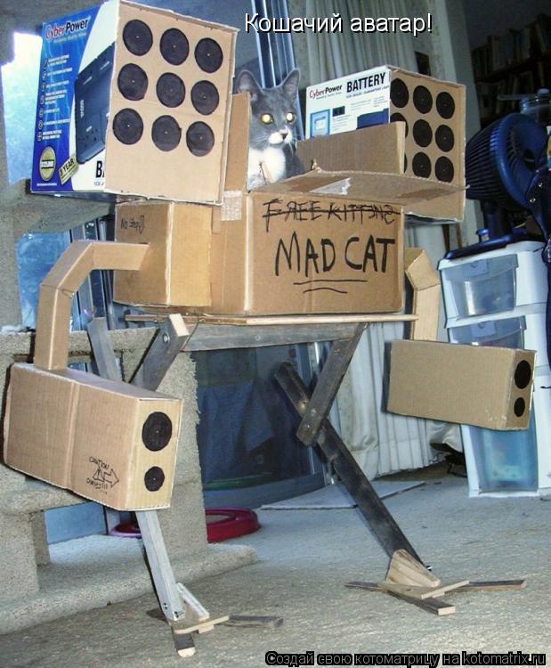 Кошачий аватар!... Котоматрица: Кошачий аватар!