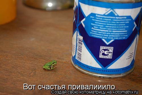 Вот счастья привалииило... Котоматрица: Вот счастья привалииило
