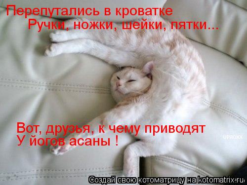 Перепутались в кроватке Ручки, ножки, шейки, пятки... Вот, друзья, к чему приводят У йогов асаны !... Котоматрица: Перепутались в кроватке Ручки, ножки, шейки, пятки... Вот, друзья, к чему приводят У йогов асаны !