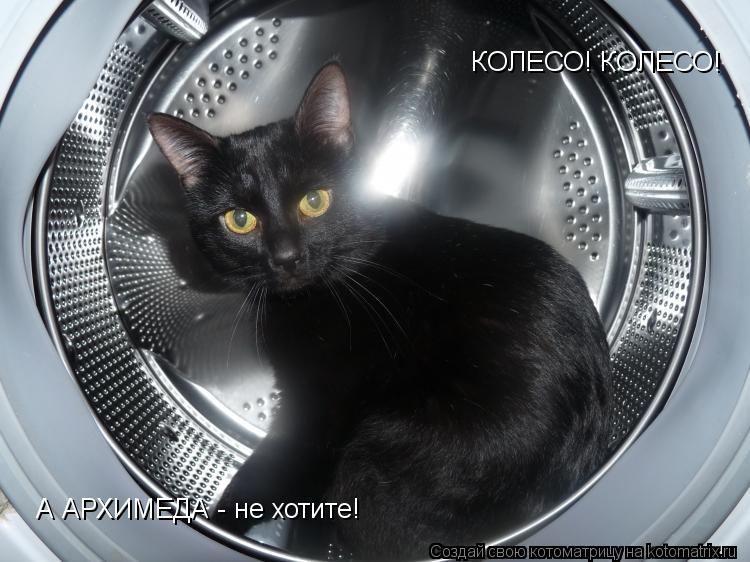 КОЛЕСО! КОЛЕСО! А АРХИМЕДА - не хотите!... Котоматрица: КОЛЕСО! КОЛЕСО! А АРХИМЕДА - не хотите!