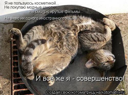 Я не пользуюсь косметикой... Не знаю ни одного иностранного языка... Не покупаю модные шмотки... Не с... Котоматрица: Я не пользуюсь косметикой... Не знаю ни одного иностранного языка... Не покупаю модные шмотки... Не смотрю крутые фильмы... И всё же я - совершен
