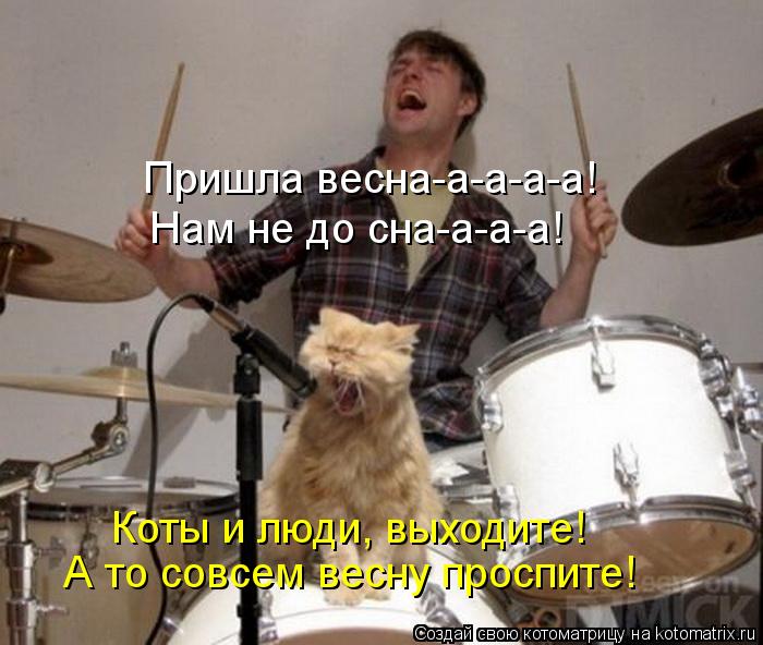 Пришла весна-а-а-а-а! Нам не до сна-а-а-а! Коты и люди, выходите! А то совсем весну проспите!... Котоматрица: Пришла весна-а-а-а-а! Нам не до сна-а-а-а! Коты и люди, выходите! А то совсем весну проспите!