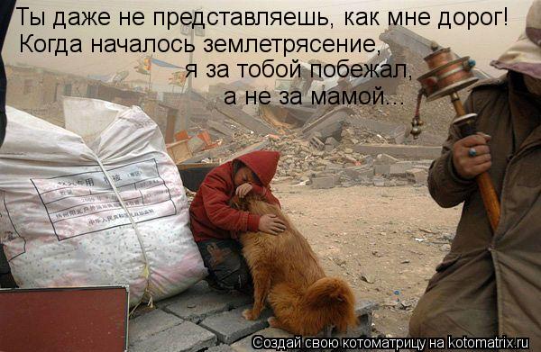 Ты даже не представляешь, как мне дорог! Когда началось землетрясение, я за тобой побежал, а не за м... Котоматрица: Ты даже не представляешь, как мне дорог! Когда началось землетрясение, я за тобой побежал, а не за мамой...