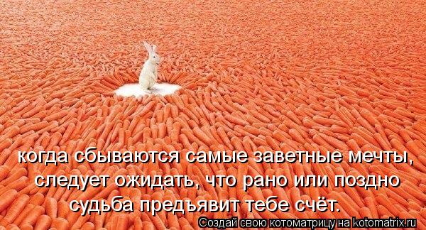 когда сбываются самые заветные мечты, следует ожидать, что рано или поздно судьба предъявит тебе счёт... Котоматрица: когда сбываются самые заветные мечты, следует ожидать, что рано или поздно судьба предъявит тебе счёт.