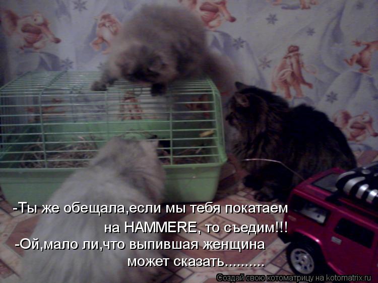 -Ты же обещала,если мы тебя покатаем на HAMMERE, то съедим!!! -Ой,мало ли,что выпившая женщина может... Котоматрица: -Ты же обещала,если мы тебя покатаем на HAMMERE, то съедим!!! -Ой,мало ли,что выпившая женщина может сказать..........