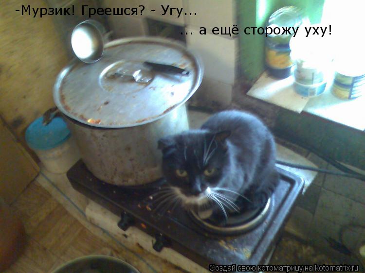 -Мурзик! Греешся? - Угу.... -Мурзик! Греешся? - Угу... ... а ещё сторожу уху!... Котоматрица: -Мурзик! Греешся? - Угу.... -Мурзик! Греешся? - Угу... ... а ещё сторожу уху!