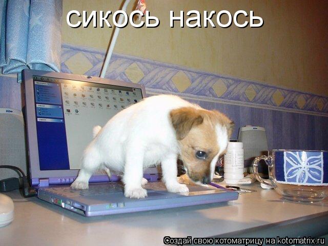 сикось накось... Котоматрица: сикось накось
