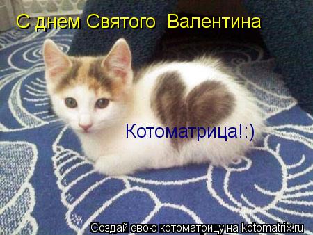 С днем Святого Валентина Котоматрица!:)... Котоматрица: С днем Святого Валентина Котоматрица!:)