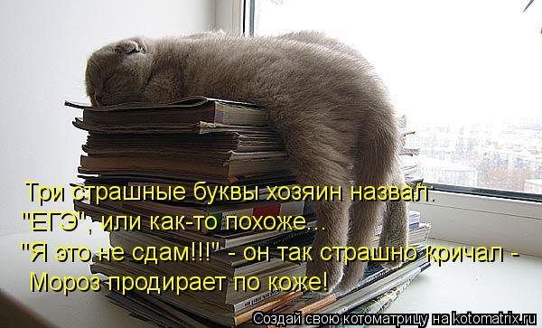Три страшные буквы хозяин назвал: "ЕГЭ", или как-то похоже... "Я это не сдам!!!" - он так страшно кри... Котоматрица: Три страшные буквы хозяин назвал: "ЕГЭ", или как-то похоже... "Я это не сдам!!!" - он так страшно кричал - Мороз продирает по коже!