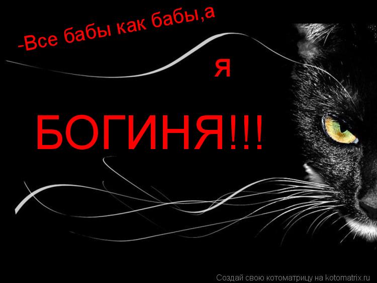 -Все бабы как бабы,а БОГИНЯ!!! я... Котоматрица: -Все бабы как бабы,а БОГИНЯ!!! я