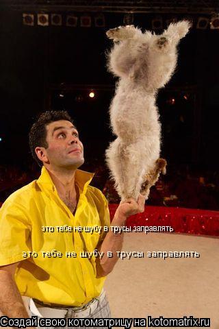 это тебе не шубу в трусы заправлять это тебе не шубу в трусы заправлять это тебе не шубу в трусы запр... Котоматрица: это тебе не шубу в трусы заправлять это тебе не шубу в трусы заправлять это тебе не шубу в трусы заправлять