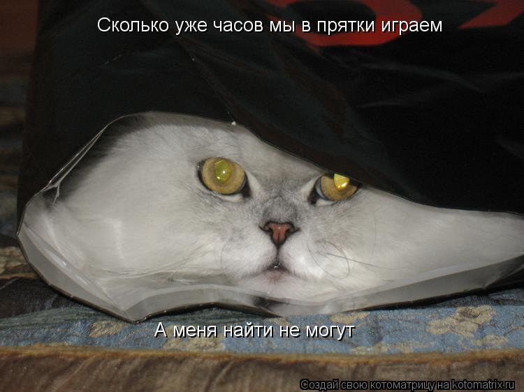 Сколько уже часов мы в прятки играем А меня найти не могут... Котоматрица: Сколько уже часов мы в прятки играем А меня найти не могут