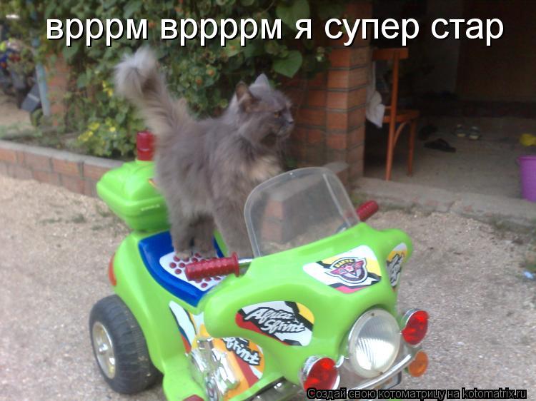 врррм вррррм я супер стар... Котоматрица: врррм вррррм я супер стар