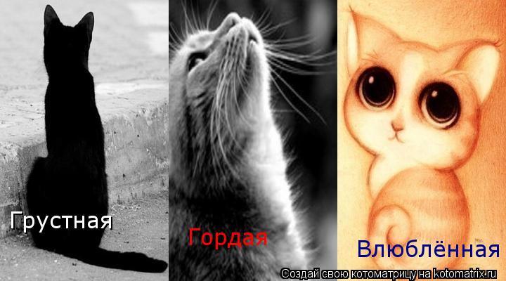 Грустная Гордая Влюблённая... Котоматрица: Грустная Гордая Влюблённая