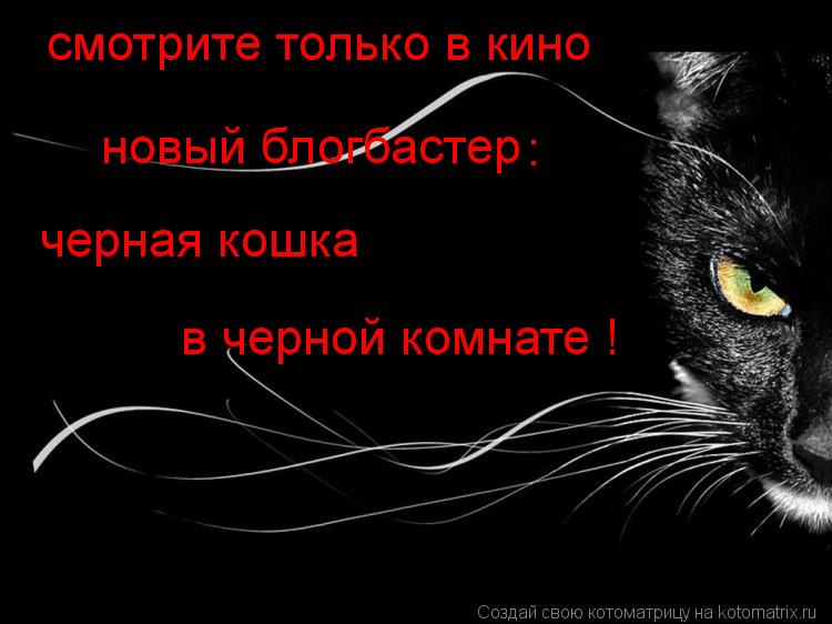 смотрите только в кино новый блогбастер : черная кошка в черной комнате !... Котоматрица: смотрите только в кино новый блогбастер : черная кошка в черной комнате !
