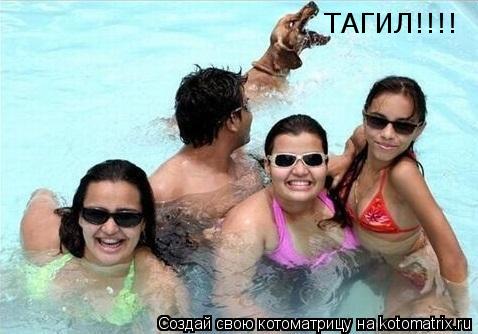 ТАГИЛ!!!!... Котоматрица: ТАГИЛ!!!!