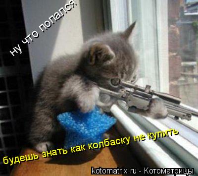 ну что попался будешь знать как колбаску не купить... Котоматрица: ну что попался будешь знать как колбаску не купить