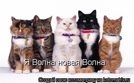 Я Волна новая Волна... Котоматрица: Я Волна новая Волна