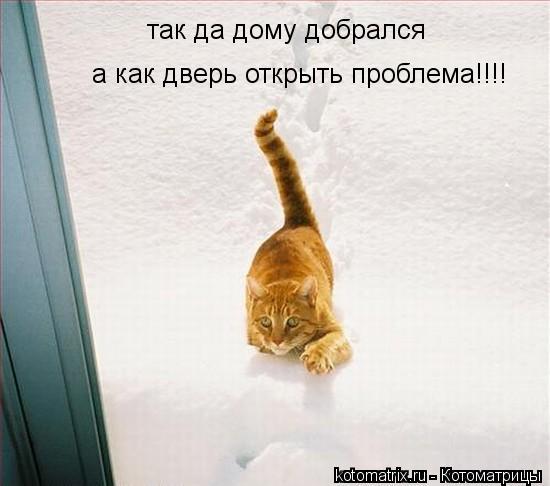 Котоматрица: так да дому добрался а как дверь открыть проблема!!!!