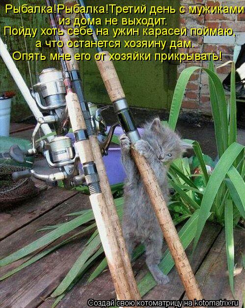 из дома не выходит. Пойду хоть себе на ужин карасей поймаю, а что останется хозяину дам. Рыбалка!Рыба... Котоматрица: из дома не выходит. Пойду хоть себе на ужин карасей поймаю, а что останется хозяину дам. Рыбалка!Рыбалка!Третий день с мужиками Опять мне его