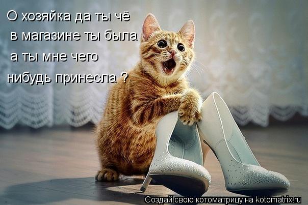 О хозяйка да ты чё в магазине ты была а ты мне чего нибудь принесла ?... Котоматрица: О хозяйка да ты чё в магазине ты была а ты мне чего нибудь принесла ?