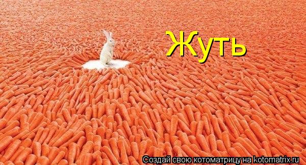 Жуть... Котоматрица: Жуть