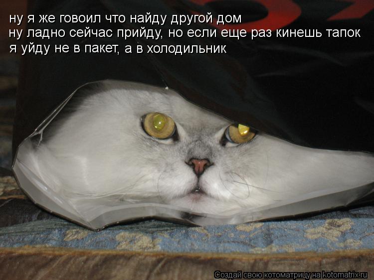ну я же говоил что найду другой дом ну ладно сейчас прийду, но если еще раз кинешь тапок я уйду не в ... Котоматрица: ну я же говоил что найду другой дом ну ладно сейчас прийду, но если еще раз кинешь тапок я уйду не в пакет , а в холодильник