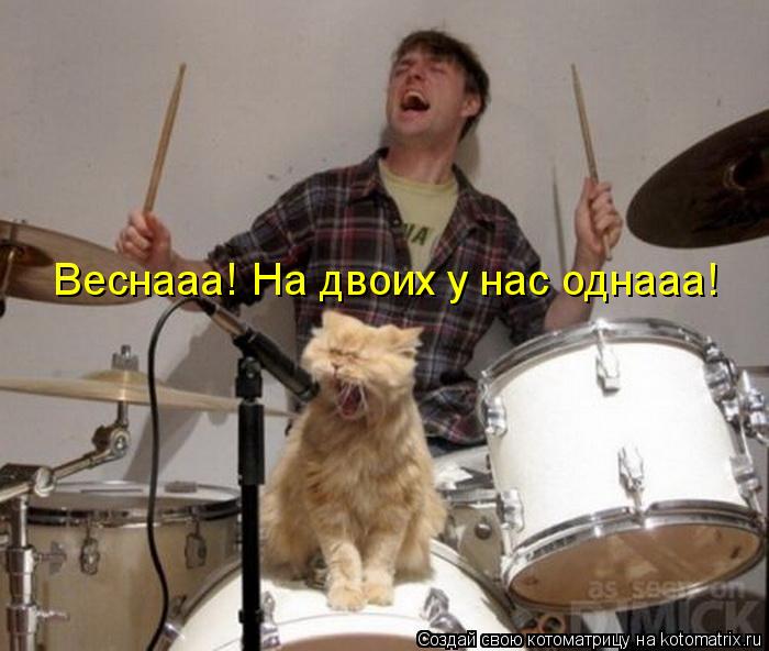 Веснааа! На двоих у нас однааа!... Котоматрица: Веснааа! На двоих у нас однааа!