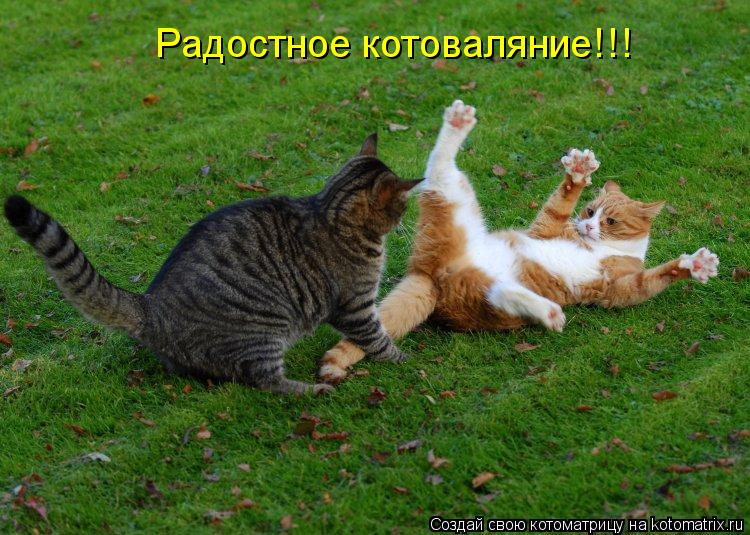 Радостное котоваляние!!!... Котоматрица: Радостное котоваляние!!!
