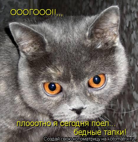 Котоматрица: ОООГООО!!,,, плооотно я сегодня поел... бедные тапки!