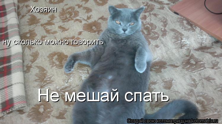 Котоматрица: Хозяин ну сколько можно говорить Не мешай спать