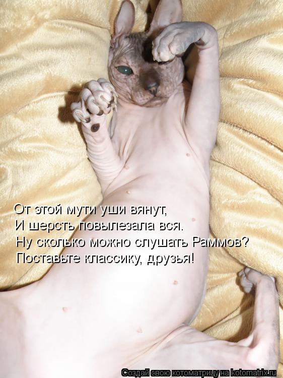 Котоматрица: От этой мути уши вянут, И шерсть повылезала вся. Ну сколько можно слушать Раммов? Поставьте классику, друзья!