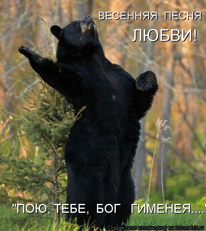 Котоматрица: ВЕСЕННЯЯ  ПЕСНЯ   ЛЮБВИ! "ПОЮ, ТЕБЕ,  БОГ   ГИМЕНЕЯ...."
