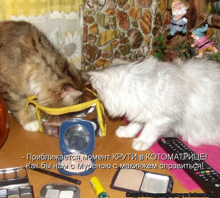 Котоматрица: - Приближается момент КРУТИ в КОТОМАТРИЦЕ! Как бы нам с Мурёною с макияжем справиться!