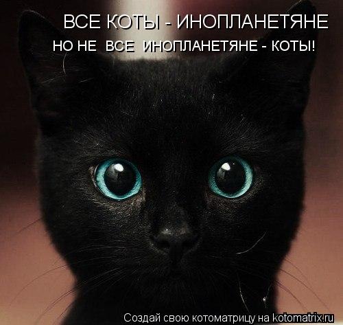ВСЕ КОТЫ - ИНОПЛАНЕТЯНЕ НО НЕ ВСЕ ИНОПЛАНЕТЯНЕ - КОТЫ!... Котоматрица: ВСЕ КОТЫ - ИНОПЛАНЕТЯНЕ НО НЕ ВСЕ ИНОПЛАНЕТЯНЕ - КОТЫ!