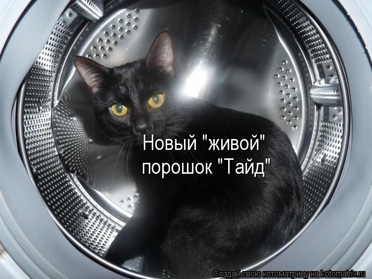Новый "живой" порошок "Тайд"... Котоматрица: Новый "живой" порошок "Тайд"